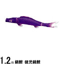 鯉のぼり 渡辺鯉 こいのぼり単品 健児錦鯉 紫鯉 1.2m 139617243