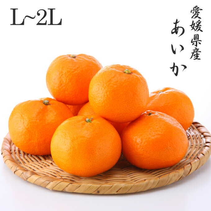 2025 あいか お歳暮 ギフト L2~Lサイズ 約5kg 紅まどんなと同品種 愛媛県産 フルーツ プレゼント みかん ミカン 12月上旬頃より順次発送