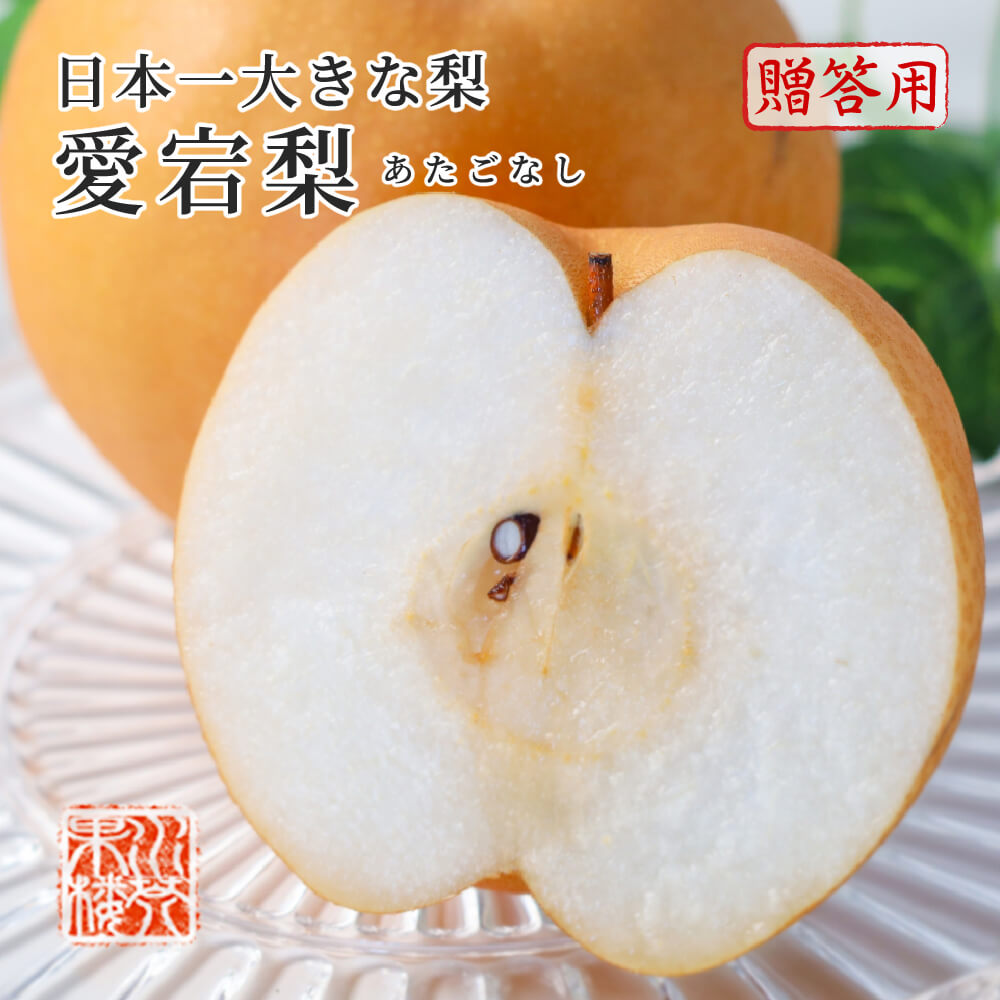 2025 お歳暮 ギフト お歳暮 ギフト 岡山県産 あたご梨 秀品 超大玉 2玉入り 合計約2.6kg 化粧箱入り 愛宕梨 梨 なし ナシ プレゼント フルーツ11月下旬頃より発送