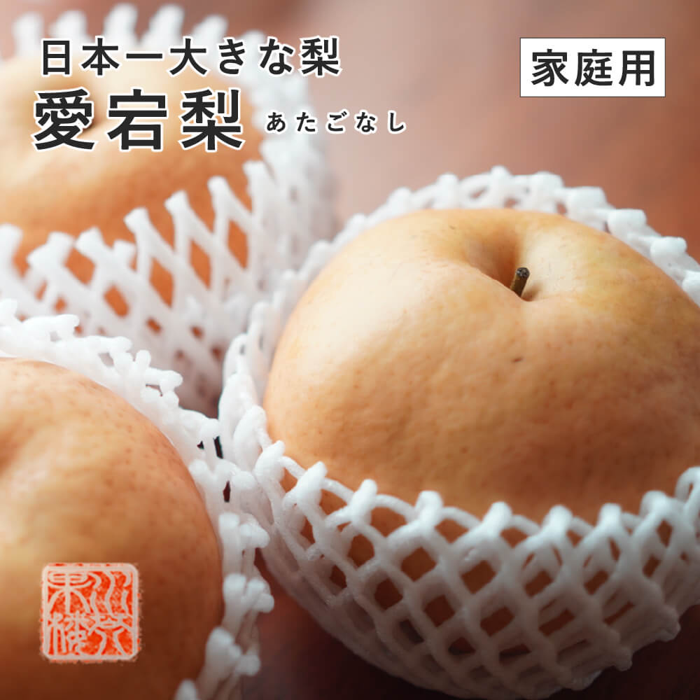 2025 岡山県産 あたご梨 家庭用 訳あり 大きさおまかせ 合計約4kg 愛宕梨 梨 なし ナシ フルーツ11月下旬頃より発送