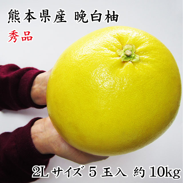 熊本県八代特産 晩白柚 (ばんぺいゆ) 秀品 5玉 2Lサイズ 10kg(1玉1.9kg以上) 化粧箱入り フルーツのサムネイル