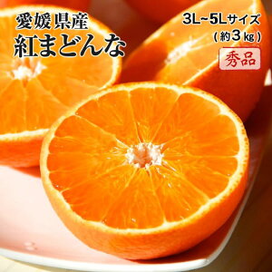 (12月上旬頃より順次発送) 2023 お歳暮 ギフト 愛媛県産 紅まどんな 3L〜4Lサイズ 約3kg 秀品 化粧箱入り みかん ミカン