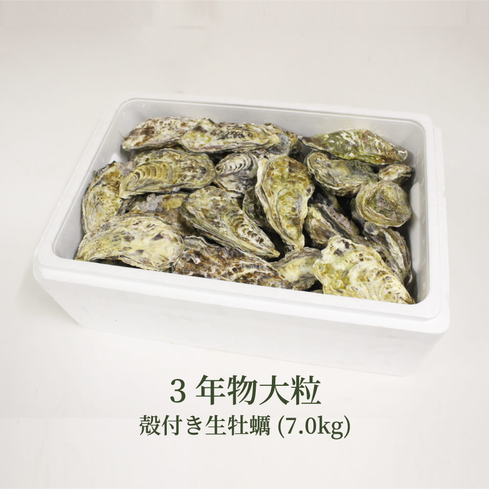 2024 お歳暮 ギフト 牡蠣 生牡蠣 殻付き牡蠣 約70個 たっぷり約7kg 超大粒 3年物 瀬戸内市邑久町虫明産 特選品 産地直送 カキ かき 加熱用 12月上旬頃より発送のサムネイル