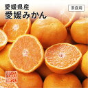 (11月上旬頃より順次発送) 愛媛県産 温州みかん S〜Lサイズ 約2.5kg 家庭用 訳あり みか ...