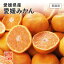 みかん 愛媛 フルーツ 送料無料 愛媛県産 温州みかん 2L〜3Lサイズ 約2.5kg 家庭用 訳あり
