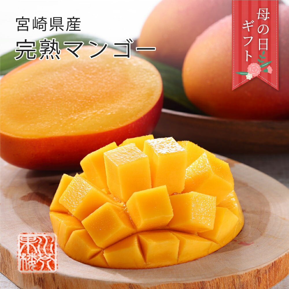 Mango - 母の日 (5月7日～5月10日にお届け) 2026 メッセージカード付 宮崎県産 完熟マンゴー 秀品 4L 2玉入 化粧箱入 宮崎マンゴー 贈り物 プレゼント ギフト