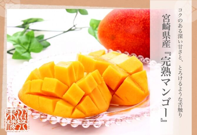 父の日 (6月9日〜6月15日にお届け) 2025 メッセージカード付 宮崎県産 完熟マンゴー 秀品 3Lサイズ 3玉入り 化粧箱入リ 宮崎マンゴー 贈り物 プレゼント ギフト