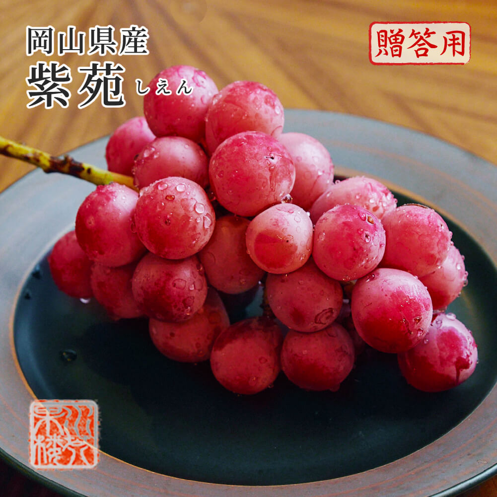 紫苑は、岡山で秋から冬（10月下旬～12月上旬）にかけて収穫される紫色のぶどうです。 楕円の実で種が無く糖度18度～20度の甘味が強く、プリッとした食感で果汁もたっぷりな品です。 これからの時期、クリスマスパーティーやお歳暮にも最適な一品です。是非一度ご堪能ください。 品種：紫苑 等級：赤秀品 内容量：3房～5房入り 約2kg 生産地：岡山県