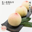 2025 お中元 岡山産白桃 5〜6玉 約1.5kg キング 光センサー選果 化粧箱入り 桃 フルーツ 白桃 ギフト プレゼント 7月上旬頃より発送