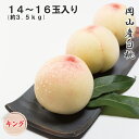 2025 お中元 岡山産白桃 14〜16玉 約3.5kg キング 光センサー選果 化粧箱入り 桃 フルーツ 白桃 ギフト プレゼント 7月上旬頃より発送(4)