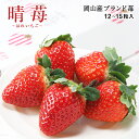 (2月上旬頃より発送) 晴苺 はれいちご 岡山県産 逸品 12〜15粒 化粧箱入