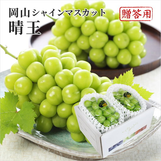 2025 お中元 岡山県特産 シャインマスカット 晴王 赤秀品 約600g×2房 化粧箱入り ぶどう ブドウ 葡萄 フルーツ ギフト プレゼント 7月上旬頃より発送 2025 お中元 岡山県特産 シャインマスカット 晴王 赤秀品 約600g×2房 化粧箱入り ぶどう ブドウ 葡萄 フルーツ ギフト プレゼント 7月上旬頃より発送
