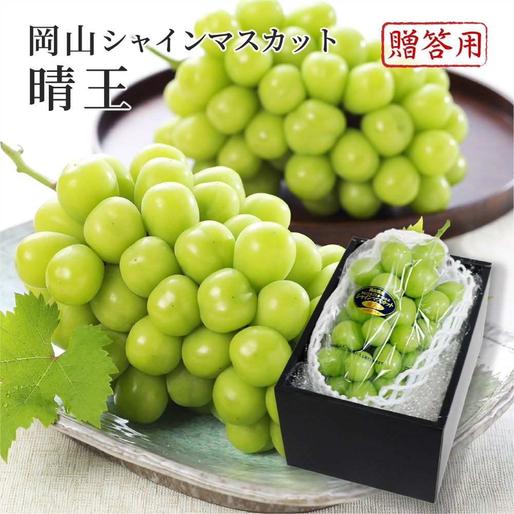 2025 お中元 岡山県特産 シャインマスカット 晴王 青秀品 1房約800g 化粧箱入り ぶどう ブドウ 葡萄 フルーツ ギフト プレゼント 7月上旬頃より発送