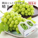 2025 お中元 岡山県特産 シャインマスカット 晴王 青秀品 約500g×2房 化粧箱入り ぶどう ブドウ 葡萄 フルーツ ギフト プレゼント 7月上旬頃より...