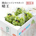 2025 お中元 岡山県特産 シャインマスカット 晴王 青秀品 3〜5房 約2kg 化粧箱入り ぶどう ブドウ 葡萄 フルーツ ギフト プレゼント 7月上旬頃よ...