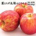 りんご 青森県産 葉とらず太陽ふじりんご 糖度12度以上 JAつがる弘前 特選 28〜40玉 約10kg
