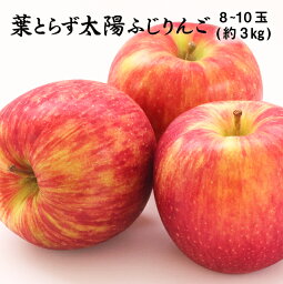 青森県産 葉とらず太陽ふじりんご 糖度12度以上 JAつがる弘前 特選 8〜10玉 約3kg