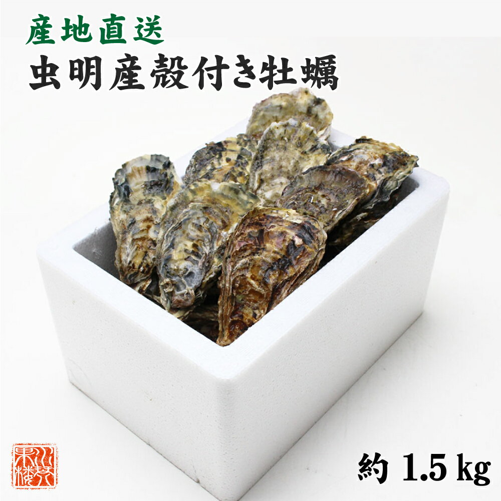 (1月10日より発送) ギフト 牡蠣 生牡蠣 瀬戸内市邑久町虫明産 殻付き牡蠣 約1.5kg 約20個 産地直送 カキ かき 加熱用のサムネイル