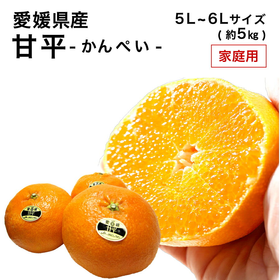 ��ɲ���� ��ʿ ����ڤ� ������ ������ 5L��6L ��5kg �ߤ��� �ߥ��� �ե롼�� 2���ܤ������缡ȯ��