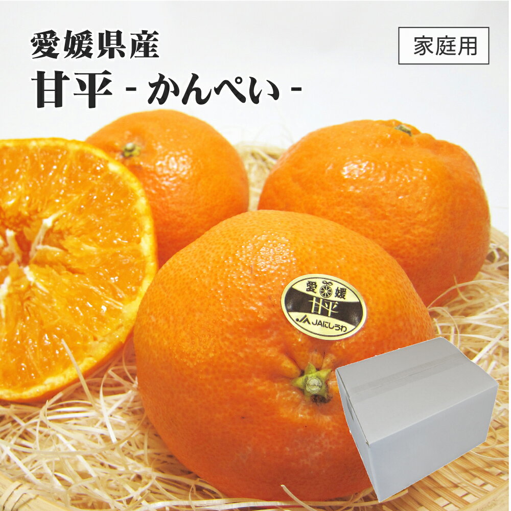 ��ɲ���� ��ʿ ����ڤ� ������ ������ M��2L ��2.5kg �ߤ��� �ߥ��� �ե롼�� 2���ܤ������缡ȯ��