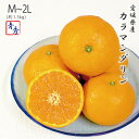 カラマンダリン 青秀品 M〜2Lサイズ 約1.5kg 愛媛県 フルーツ ギフト みかん ミカン 4月下旬ごろより順次発送