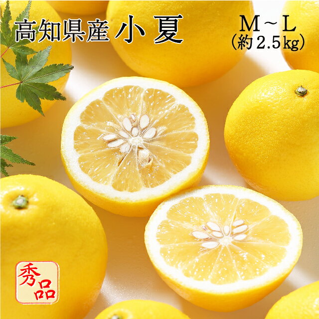 (4ܤ缡ȯ) θ  ML 2.5kg  £ £ʪ ˥塼ޡ  ߤ ե롼