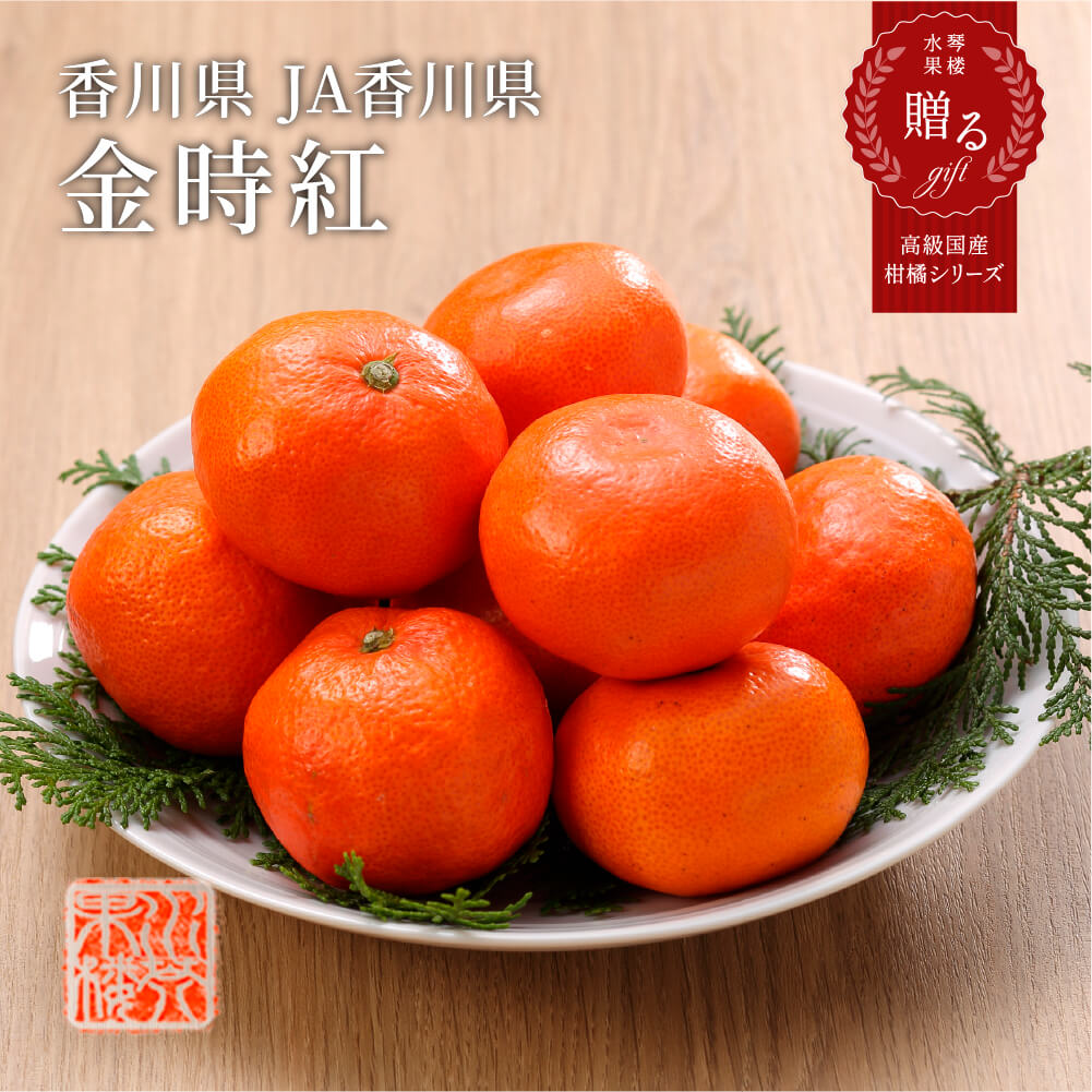 2025 ������ ���ե� ����Ȥߤ��� ���� 2S��M������ 5kg ����� ����Ȣ���� �ߤ��� �ߥ��� �ե롼�� 12���ܺ����ȯ��