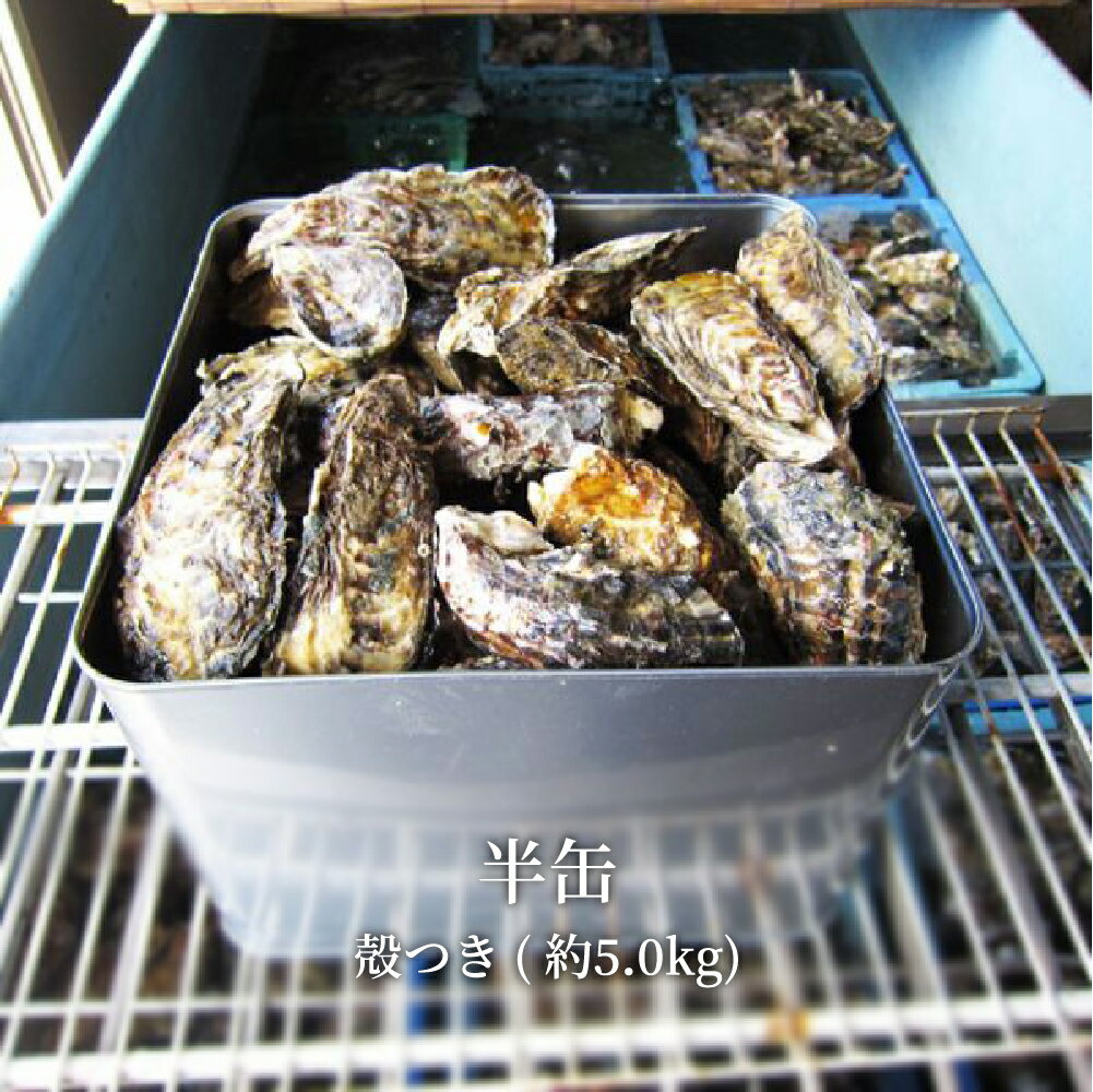(12月上旬頃より発送) ギフト 牡蠣 生牡蠣 殻付き牡蠣 瀬戸内市邑久町虫明産 半缶 約5kg 約60個 産地直送 カキ かきのサムネイル