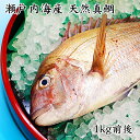 日本の食文化を代表する高級魚として知られる真鯛は、瀬戸内海各地がおいしい真鯛の産地として有名で、特に春から初夏にかけては「桜鯛」と呼ばれ産卵期で脂が乗り大変美味です。 天然物の真鯛は養殖物にない鮮やかな体色と癖の少ない食味で重宝され、高級魚として高値で取引きされています。身は淡白な中に上品な甘みがあり豊な風味を秘め、栄養的にもビタミンA・B1・B2が多くさらにEPA・DHAなども豊富に含まれています。 また、「鯛は捨てるところがない」と言われ、お刺身、鯛しゃぶ、塩焼き、煮物、蒸し物、お吸い物、アラ炊きなど全身すべておいしく食べられる魚です。味にくせがないので和食だけでなく、洋食・中華とジャンルを問わず幅広いレパートリーで、私たちの食卓を楽しませてくれます。 あらゆるお料理で、ご堪能ください。 出荷前に活け締めにし新鮮な状態でお届けします。 魚種：真鯛 内容量：1kg前後(1尾)【3人〜4人分】 産地：岡山県・香川県 保存方法：10℃以下で保存(要冷蔵) 賞味期限：約2日 ※生ものですので、商品到着後なるべくお早めにお召し上がりください。