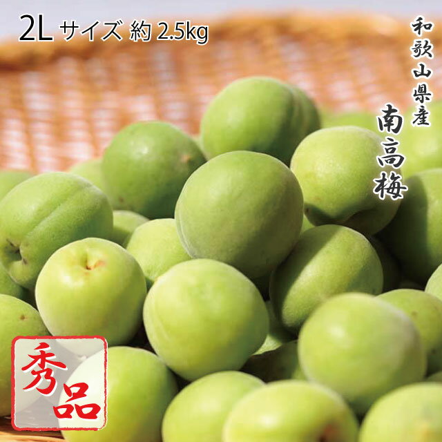 Ume - (6月上旬ごろより発送) 紀州・和歌山県産 南高梅 秀品 2Lサイズ 約2.5kg JA紀南 梅 梅干し 梅酒