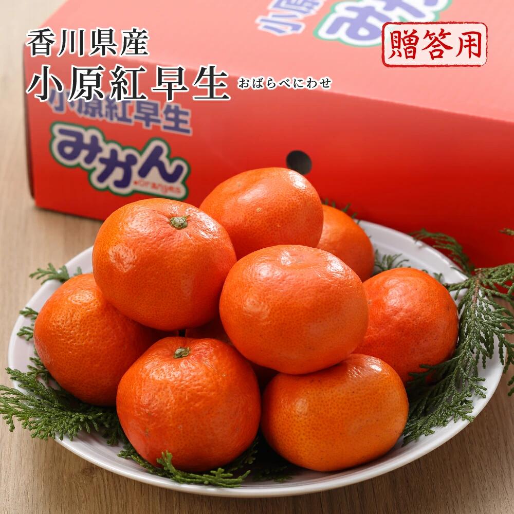 2025 香川県産 小原紅早生みかん 秀品 L〜2Lサイズ 2.5kg 化粧箱入り みかん 香川 フルーツ お歳暮 ギフト 12月上旬頃より発送