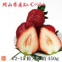 いちご フルーツ ギフト 岡山県産 おいCベリー 12〜15粒 約450g 化粧箱入 苺 いちご イチゴ