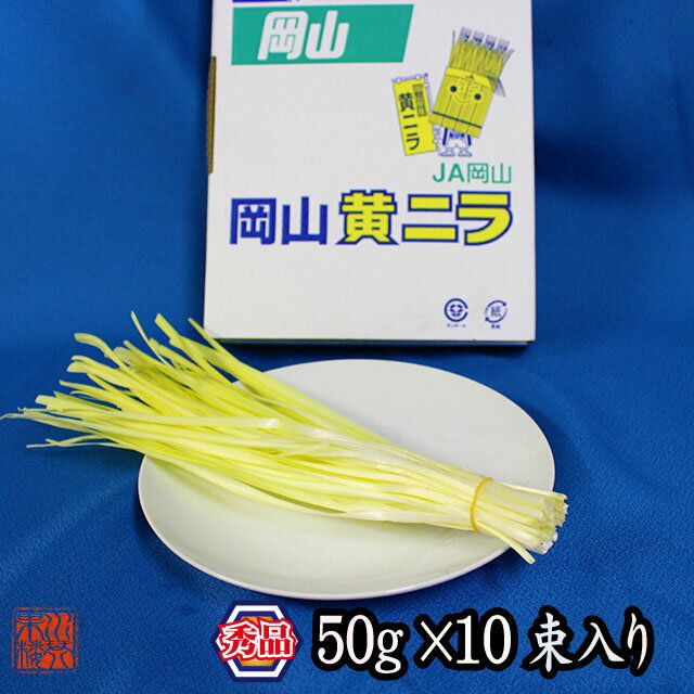 岡山県特産 超高級食材 黄ニラ 秀品 約500g(約50g×10束) にら 韮