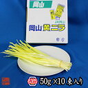 岡山県特産 超高級食材 黄ニラ 秀品 約500g(約50g×10束) にら 韮 その1