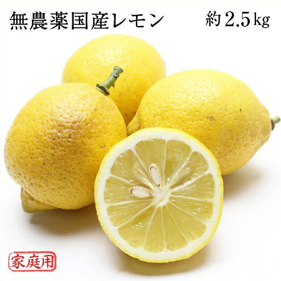 無農薬 岡山県産 国産レモン 約2.5kg 家庭用 訳あり 大きさ不揃い ワックス 防腐剤 防カビ剤不使用