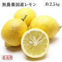 無農薬 岡山県産 国産レモン 約2.5kg 