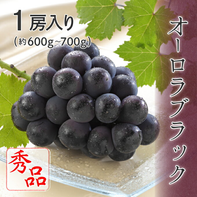 (8月上旬頃より発送) 岡山県特産 オーロラブラック 秀品 1房入り 約600g〜700g 化粧箱入り