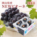 2025 ニューピオーネ 青秀品 約2kg 3〜5房 岡山県産 ギフト プレゼント フルーツ 葡萄 ぶどう 9月上旬頃より発送