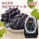 2025 お中元 ギフト 葡萄 ぶどう 岡山県産 ニューピオーネ 青秀品 1房約500g 化粧箱入り プレゼント フルーツ 6月下旬頃より発送