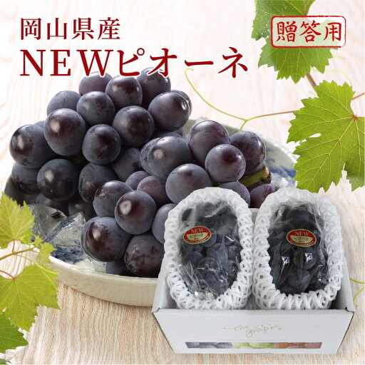 2025 お中元 ギフト 葡萄 ぶどう 岡山県産 ニューピオーネ 秀品 約400g×2房 化粧箱入り プレゼント フルーツ 6月下旬頃より発送 2025 お中元 ギフト 葡萄 ぶどう 岡山県産 ニューピオーネ 秀品 約400g×2房 化粧箱入り プレゼント フルーツ 6月下旬頃より発送