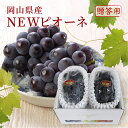 2025 ニューピオーネ 赤秀品 約700g×2房 岡山県産 ギフト プレゼント フルーツ 葡萄 ぶどう 9月上旬頃より発送
