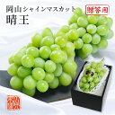 2025 シャインマスカット 晴王 青秀品 1房約700g 化粧箱入り 岡山県産 ぶどう ブドウ 葡萄 フルーツ ギフト プレゼント 9月上旬頃より発送