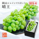 2025 シャインマスカット 晴王 青秀品 1房 約600g 化粧箱入り 岡山県産 ぶどう ブドウ 葡萄 フルーツ ギフト プレゼント 9月上旬頃より発送