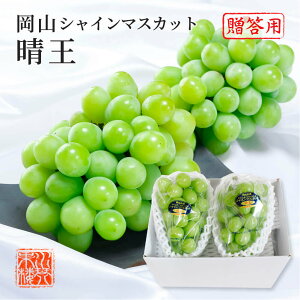 シャインマスカット 晴王 赤秀品 約600g×2房 化粧箱入り 岡山県産 ぶどう ブドウ 葡萄 フルーツ ギフト プレゼント 9月上旬頃より発送 送料無料