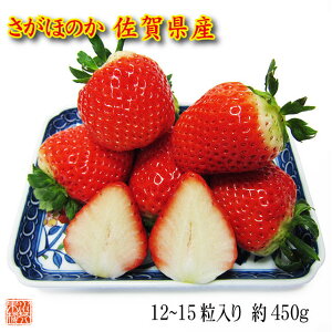 送料無料 フルーツ ギフト 佐賀県産 さがほのか 12〜15粒 約450g 化粧箱入 苺 いちご イチゴ