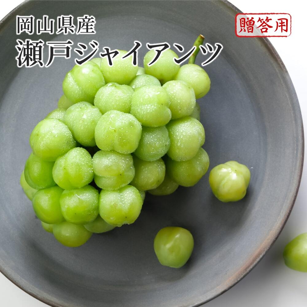 瀬戸ジャイアンツ 赤秀品 大房 約1000g×1房 岡山県特産 ぶどう ブドウ 葡萄 フルー...