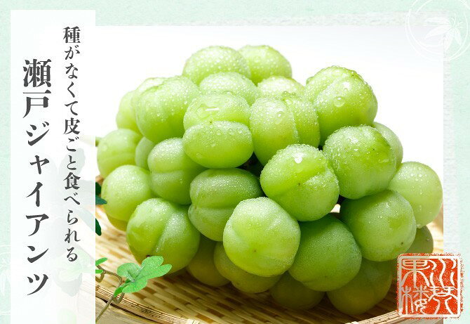 瀬戸ジャイアンツ 赤秀品 大房 約1000g×1房 岡山県特産 ぶどう ブドウ 葡萄 フルー...