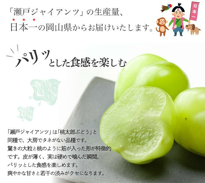 瀬戸ジャイアンツ 赤秀品 大房 約1000g×1房 岡山県特産 ぶどう ブドウ 葡萄 フルー...