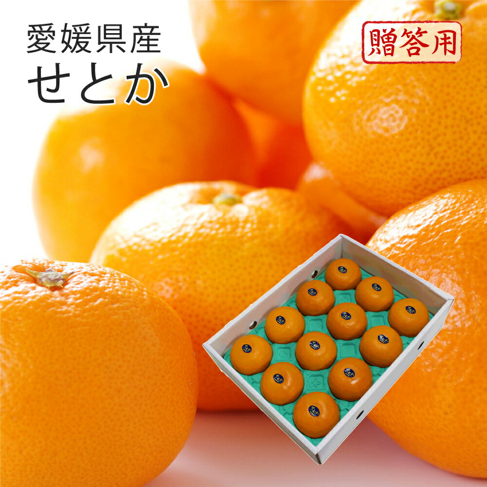 せとか 秀品 12〜15玉 L〜2L 約3kg 愛媛県産 化粧箱入り みかん ミカン フルーツ ギフト 3月上旬より順次発送