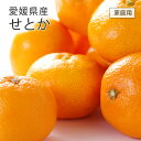 (3月中旬より順次発送) フルーツ 愛媛県産 せとか 家庭用 訳あり M〜2L 約5kg みかん ミカン